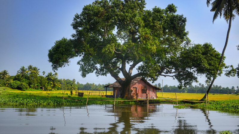 Kerala Itinerary – 9 Days  8 Nights